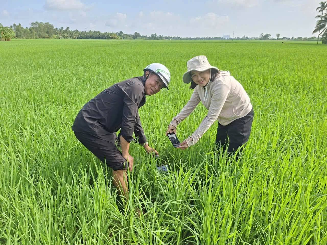anh tin bai